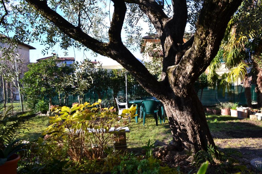 Ogród w obiekcie B&B Casa Mia