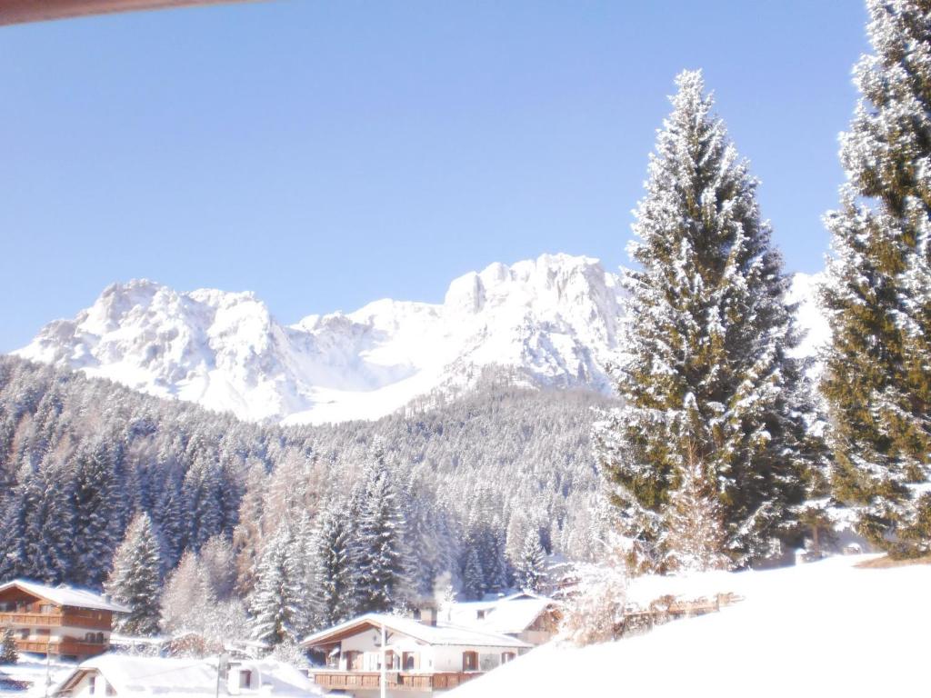 a snow covered mountain with a house and a tree at Tur Appartamenti in Padola