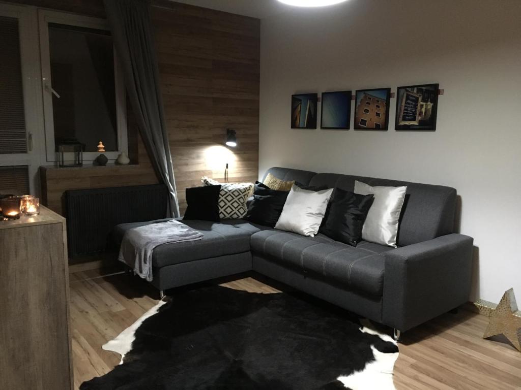 Fotografie z fotogalerie ubytování Apartment Dolní Moravice Jeseníky v Dolní Moravici