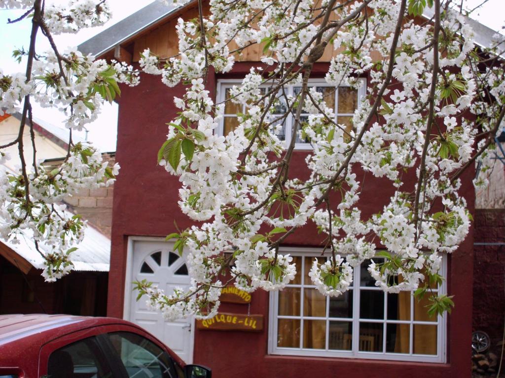 un árbol con flores blancas delante de un edificio rojo en Alojamiento Quilque Lil en Aluminé