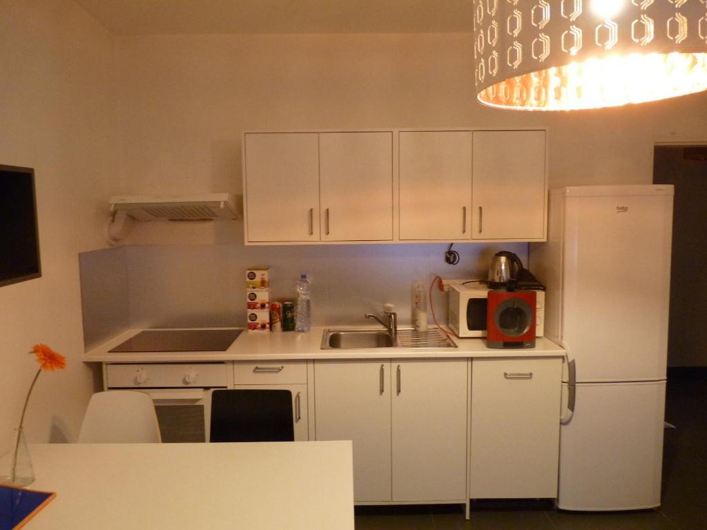 Kuchyň nebo kuchyňský kout v ubytování The modern apartment