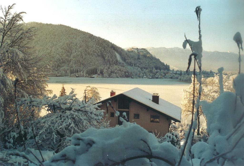 Příroda nedaleko apartmánu