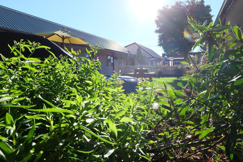 Castles Motel & Driftwood Motel - Resim 7