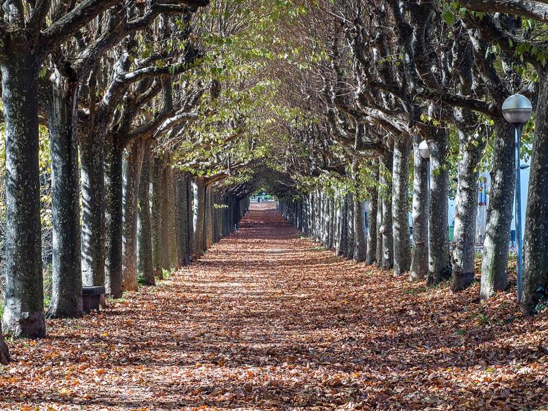 Fotografia z galérie ubytovania Ca la Xesca v destinácii Olot