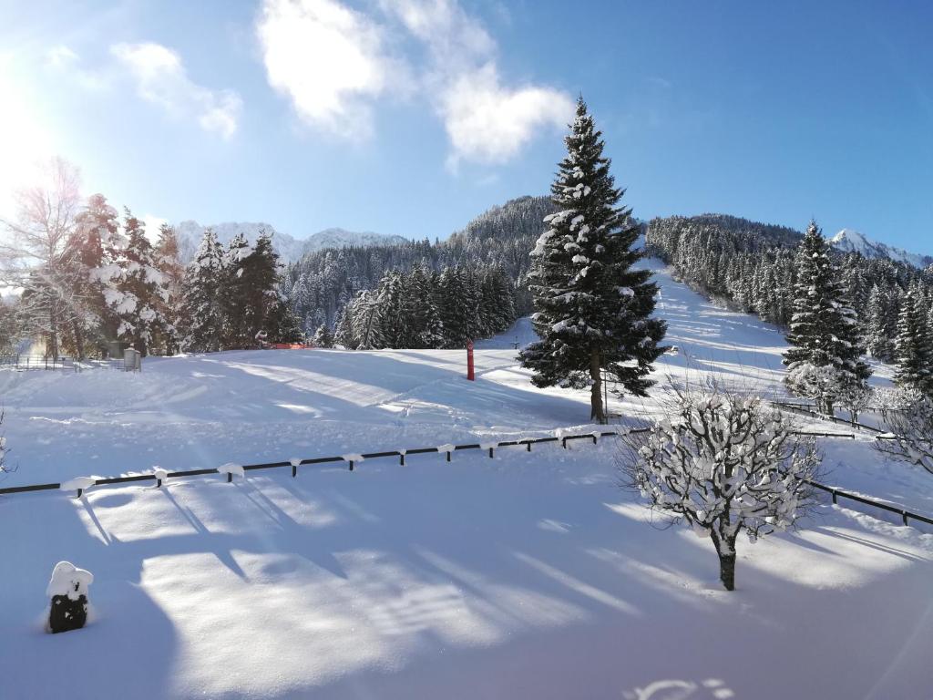 Romantic Chalet-Style Flat with Mountain View v zimě