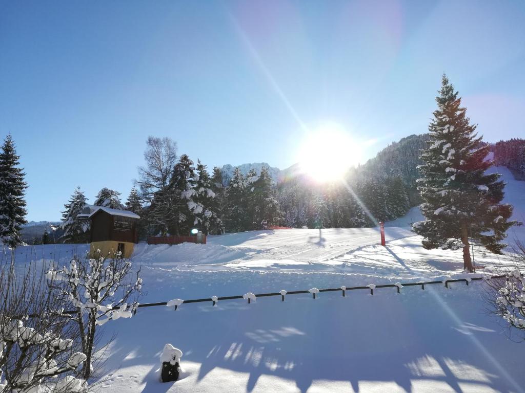 Romantic Chalet-Style Flat with Mountain View v zimě