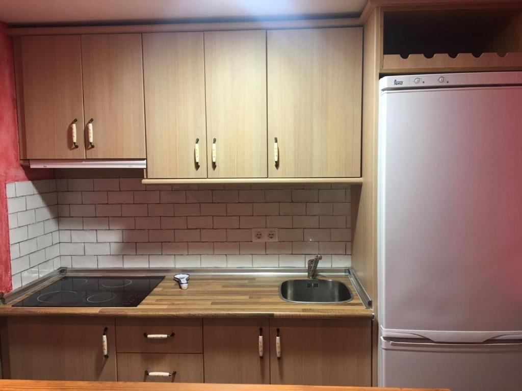 Kuchyňa alebo kuchynka v ubytovaní Apartamento Ginebra Deluxe