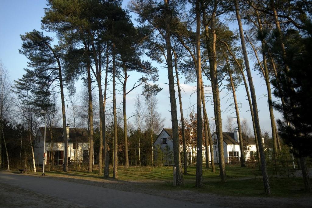 Příroda nedaleko prázdninového areálu