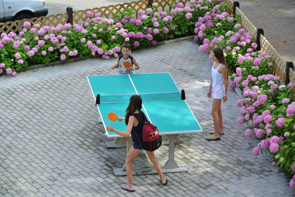 Stolní tenis v ubytování Hotel Toschi nebo okolí