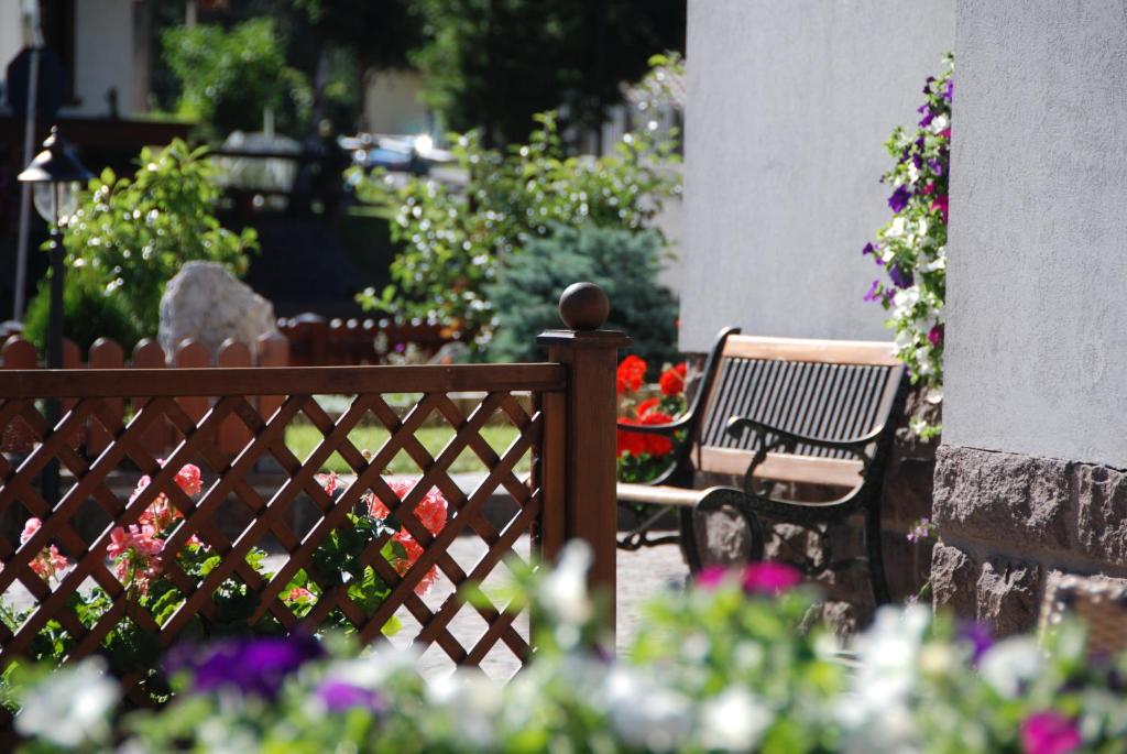 Zahrada ubytování Hotel Ciampian