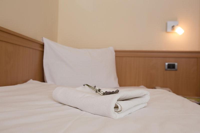 Postel nebo postele na pokoji v ubytování Hotel Tomislavov Dom