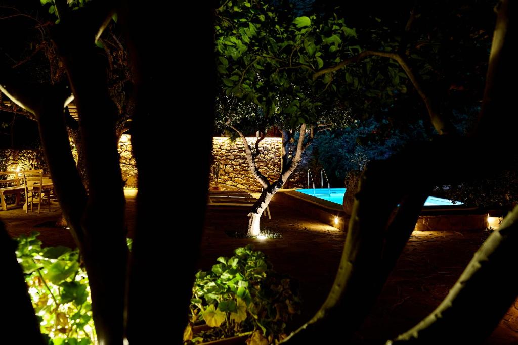 - Vistas a la piscina por la noche en Gli Aranci, en Agropoli