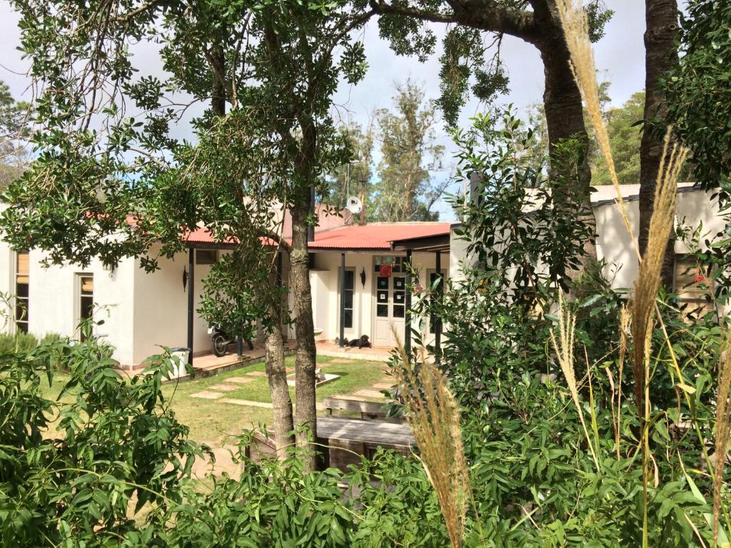 una casa vista a través de los árboles en Hostel Punta Ballena Bar, en Punta del Este