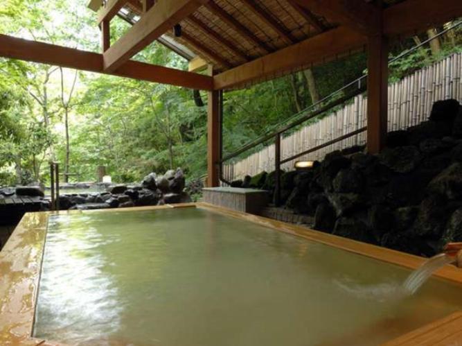 Fotografie z fotogalerie ubytování Hotel Nanpuso v destinaci Hakone