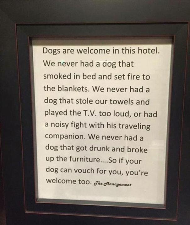 Fotografie z fotogalerie ubytování Shoreside Inn & Suites v destinaci Wabamun