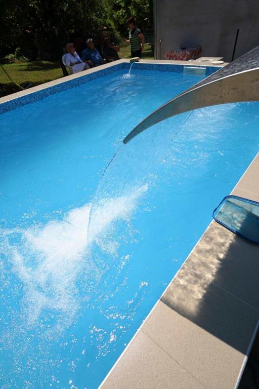a swimming pool with a dolphin in the water at Apartments Lukić in Soko Banja