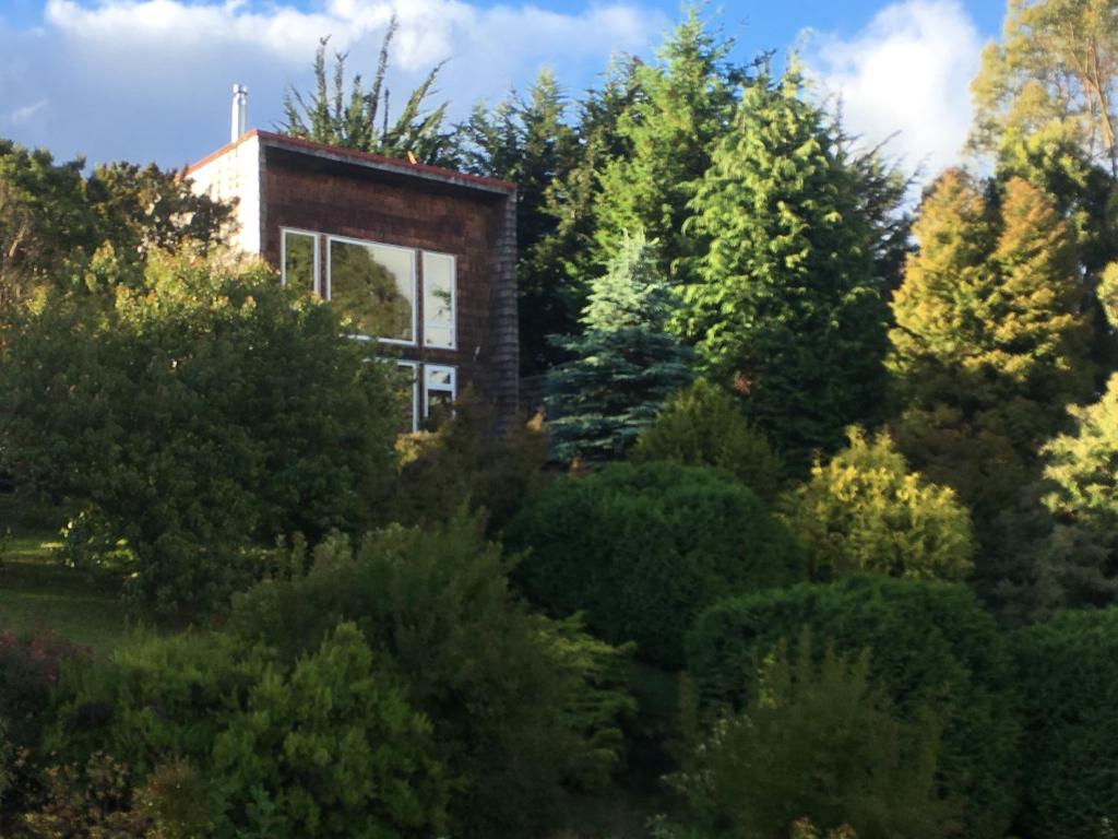 uma casa no meio de uma floresta em Loft Nalhuitad em Nahuitad