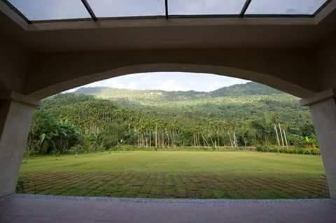 a view of a large field from a window at Shan Bian 52 Homestay in Fengshan