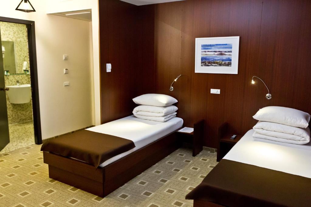 Pensiune turistica Olsi - Twin Room