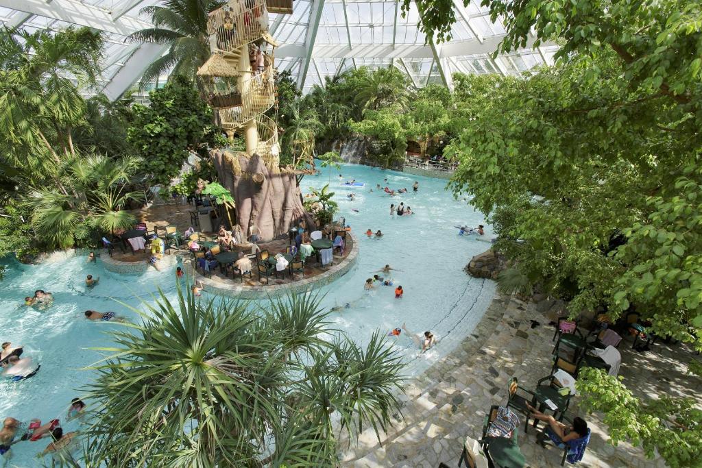 Bazén v ubytování Center Parcs Vossemeren nebo v jeho okolí