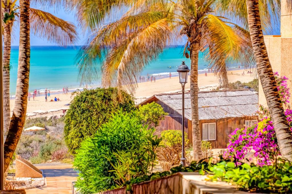 SBH Taro Beach Hotel, Costa Calma – Updated 2024 Prices