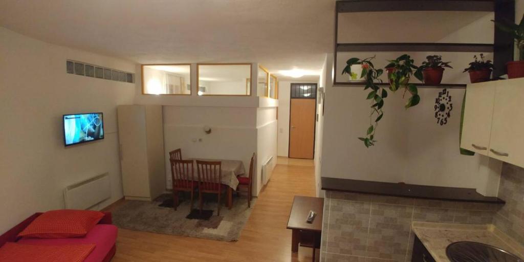 Kuchyňa alebo kuchynka v ubytovaní Apartments Dino