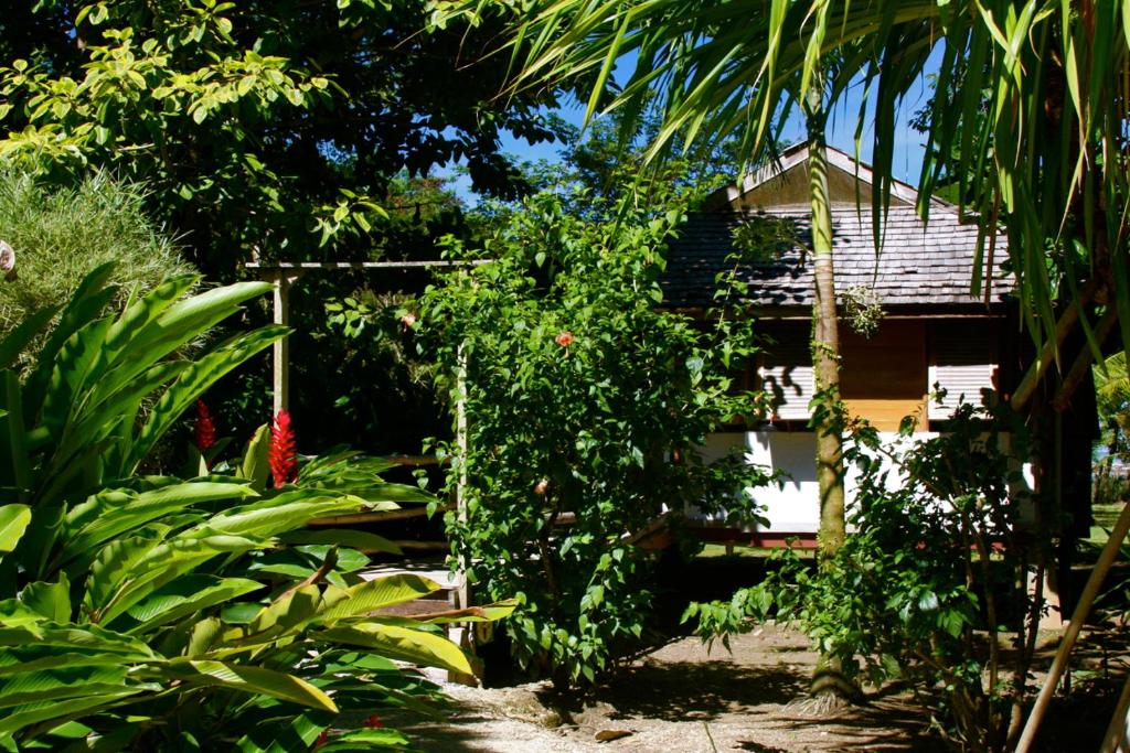 Zahrada ubytování Acajou Hotel