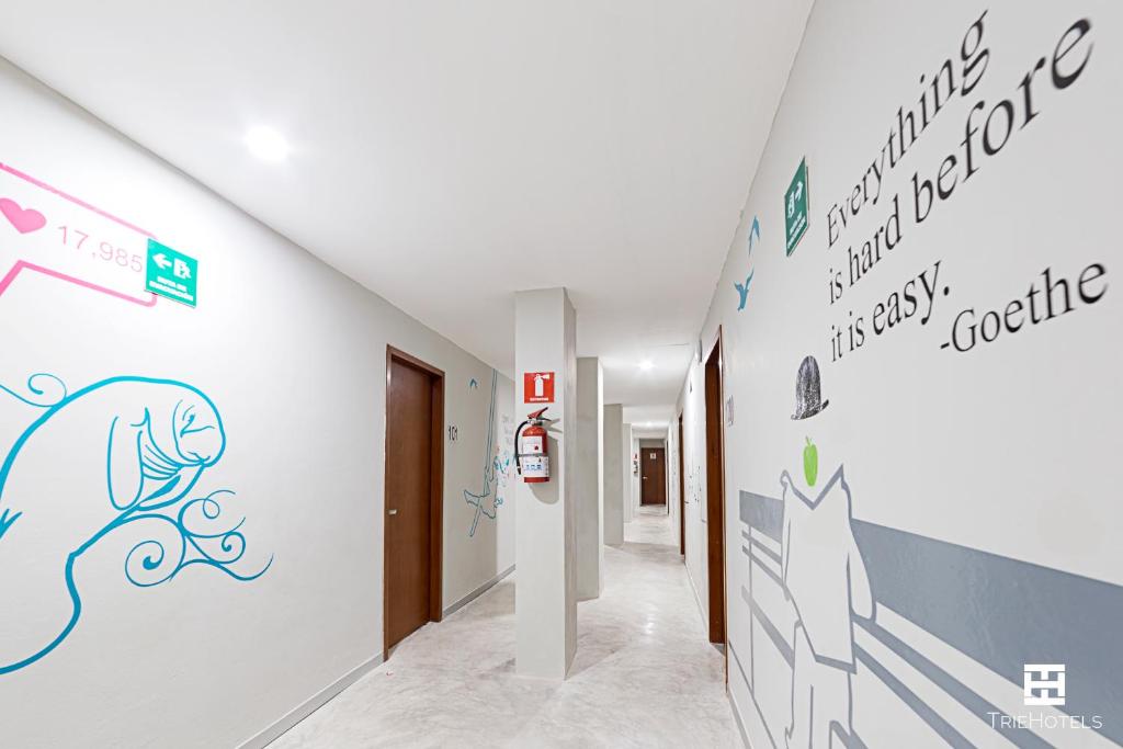 Certifikát, hodnocení, plakát nebo jiný dokument vystavený v ubytování Hotel Urban 101