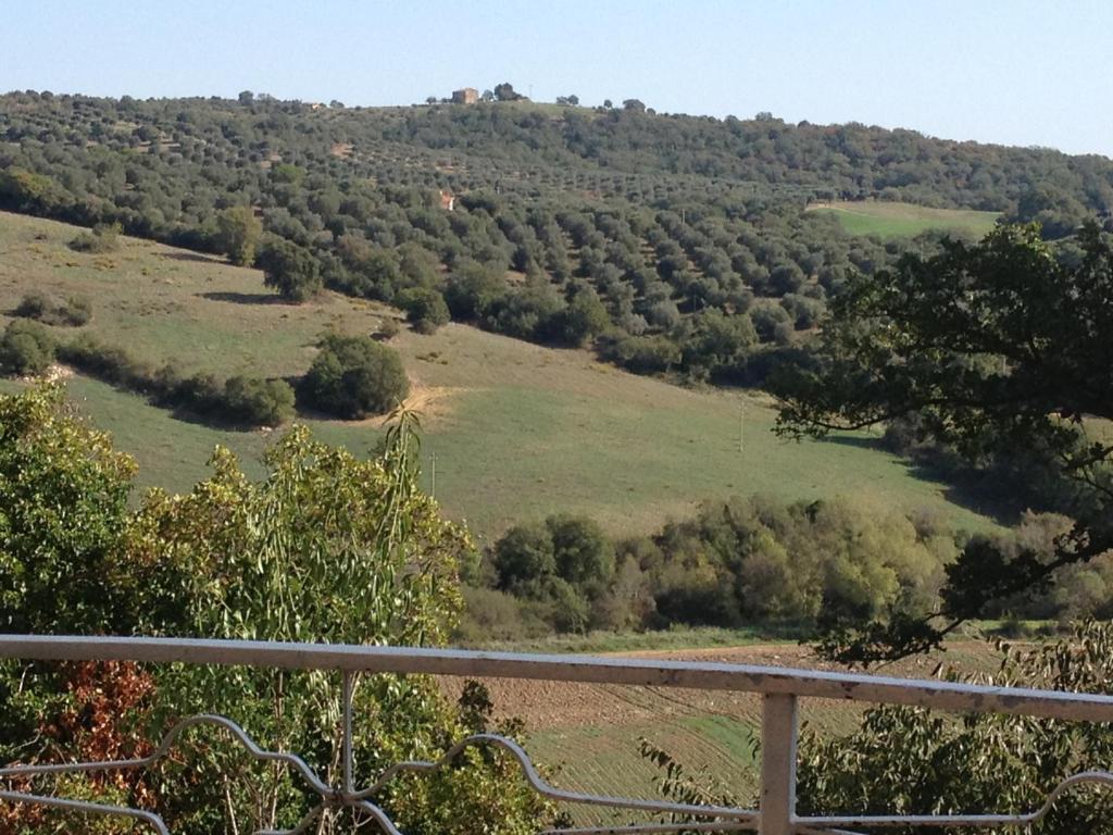 Paisagem natural perto da casa de hóspedes