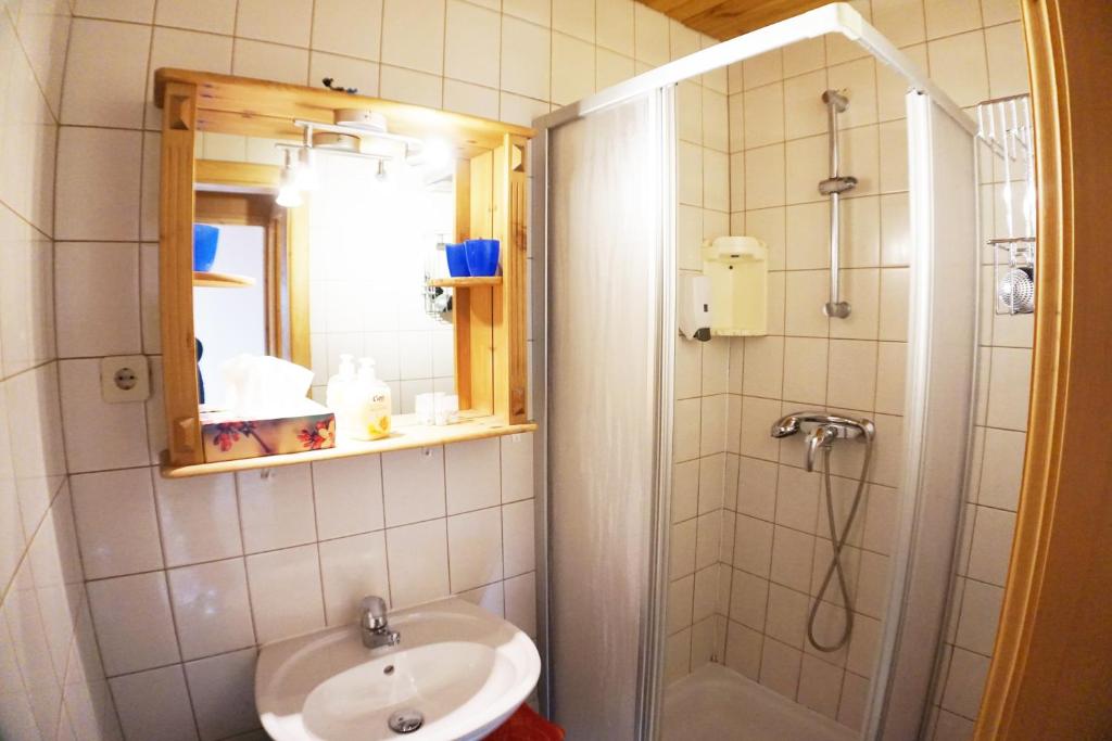 Koupelna v ubytování Karawanken Lodge