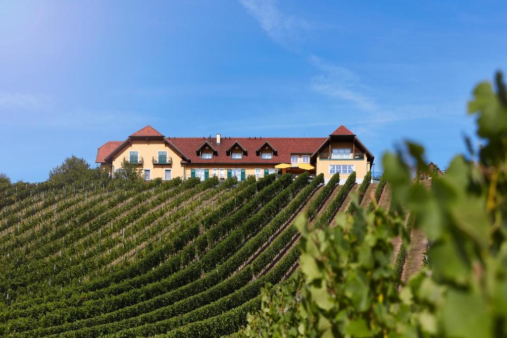 a house on a hill next to a vineyard at Hotel Garni Schöne Aussichten in Klöch