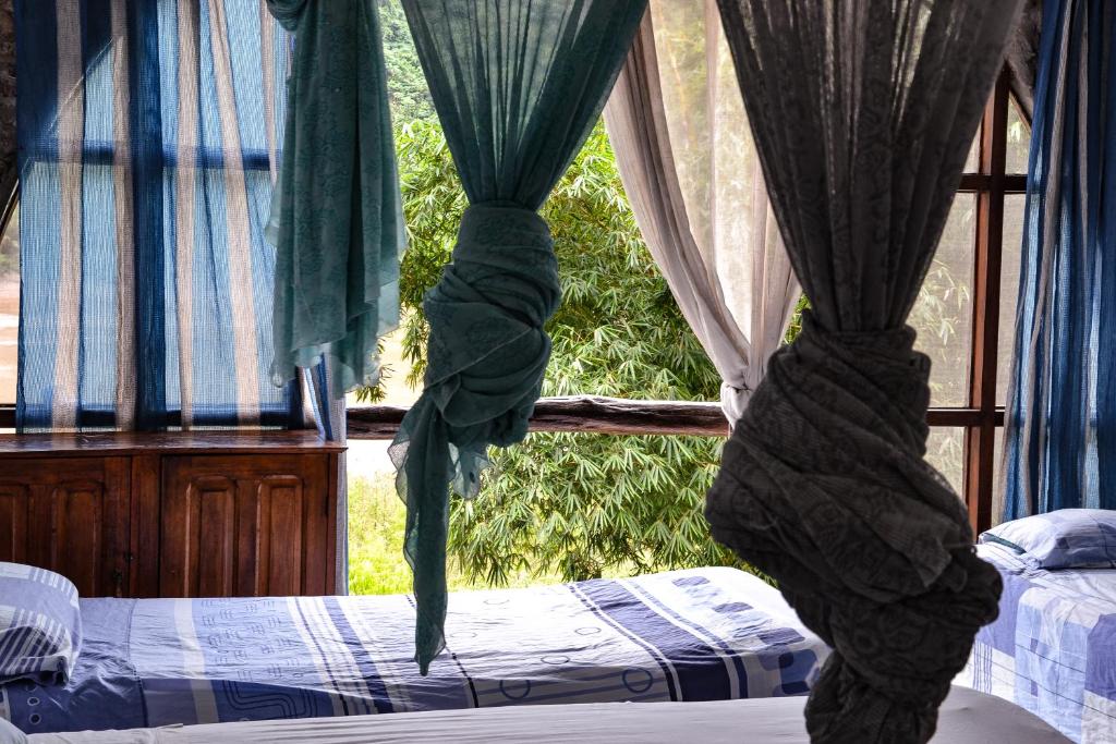 Lobo Hostel - Rurrenabaque