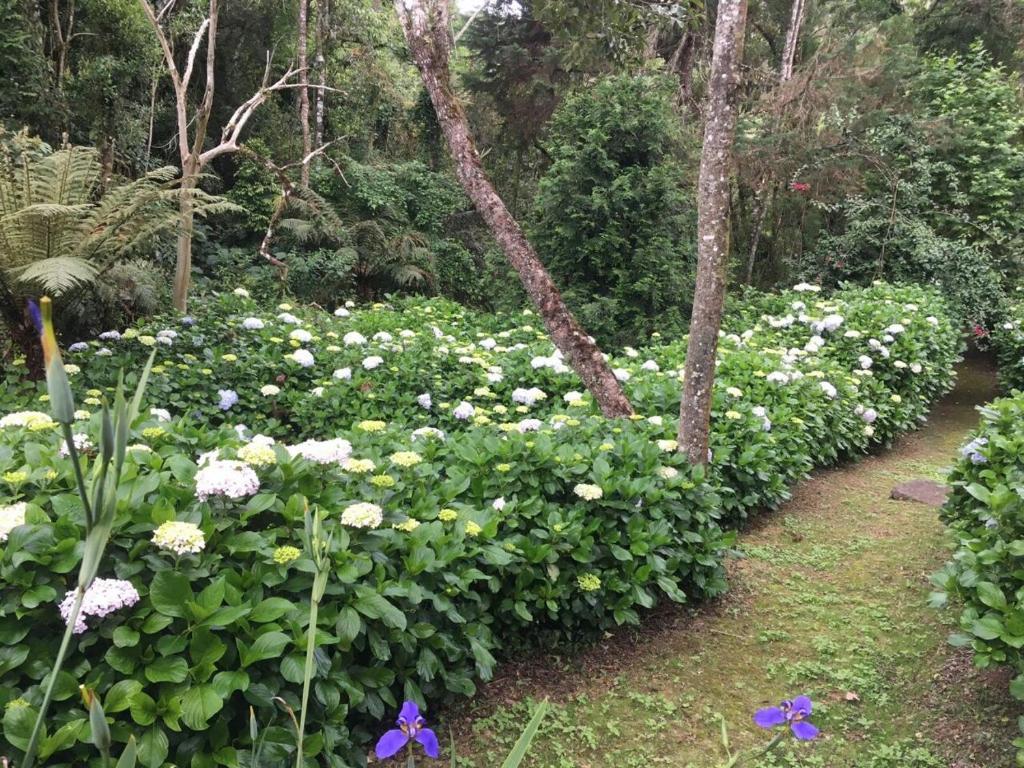  COBERTURA LUXO em Campos do Jordão