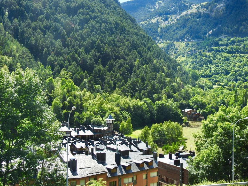 a small village in the mountains with trees at Apartament acollidor in Arinsal