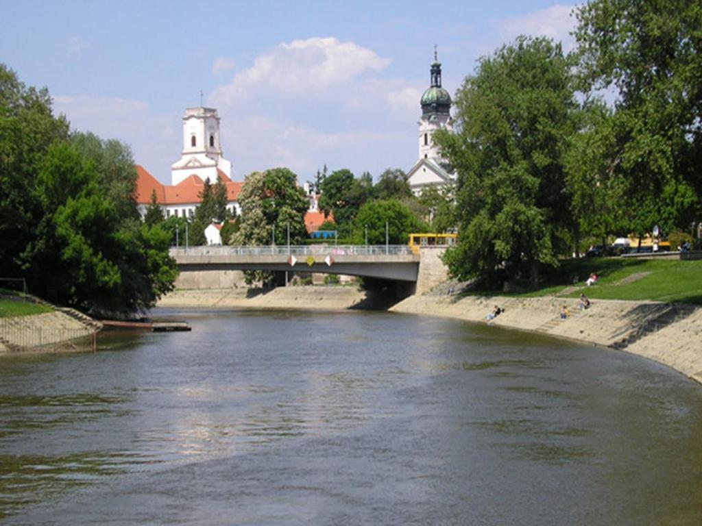 a bridge over a river with buildings in the background at Hostel Maros in Győr