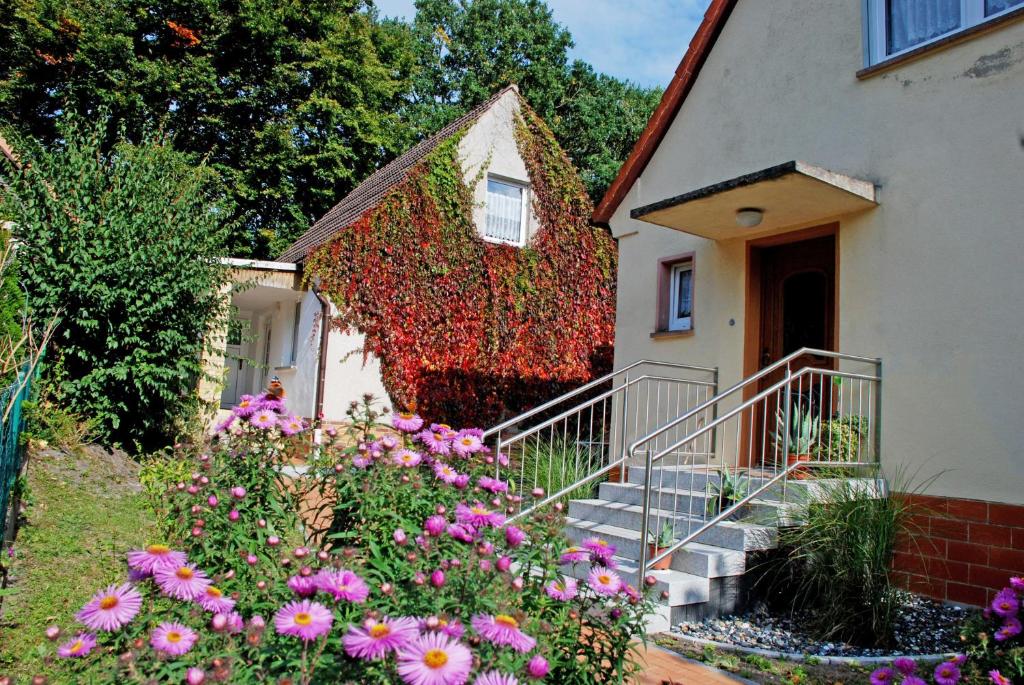 バーベにあるFerienwohnungen im Ostseebad Baabeの花の家