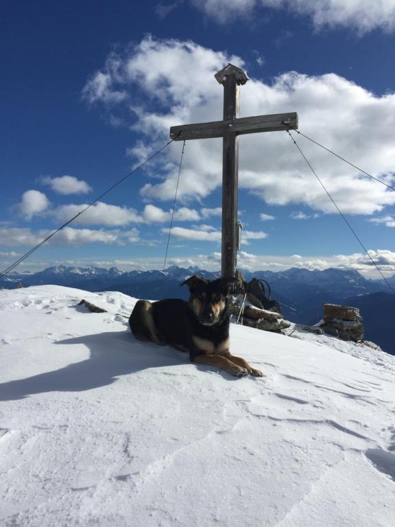 Chalet Schmied v zime