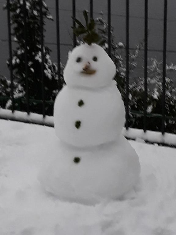 El Doorado during the winter