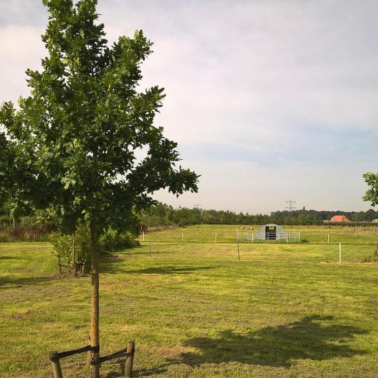 Fotografie z fotogalerie ubytování Antonius Hoeve v destinaci Oudenbosch