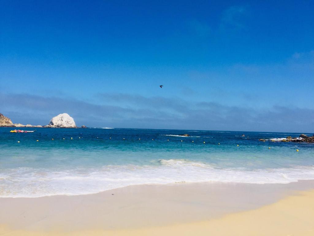 una playa con agua azul y rocas en el océano en Departamento Pinares del Canelillo, en Algarrobo