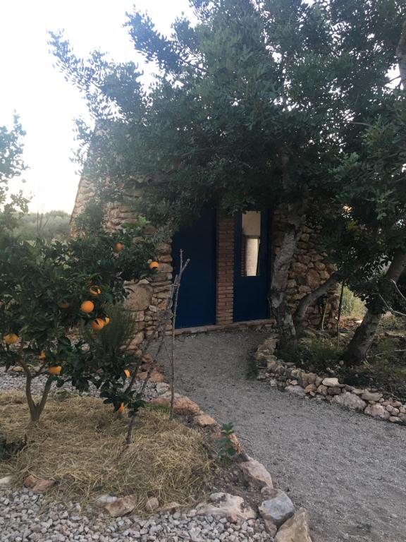 Vonkajšia záhrada v ubytovaní Finca Florecer