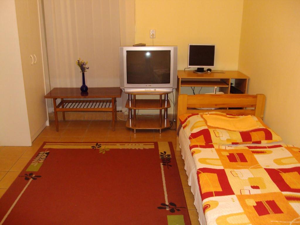 a living room with a bed and a television at Erik Apartments in Budapest