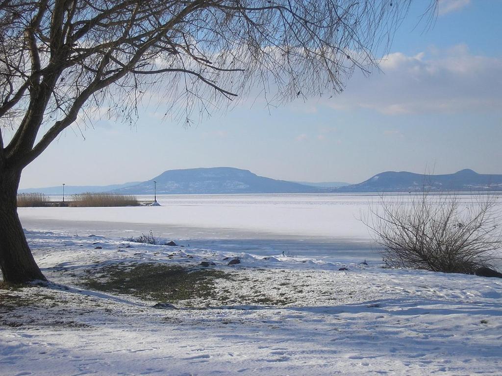 Príroda v okolí apartmánu