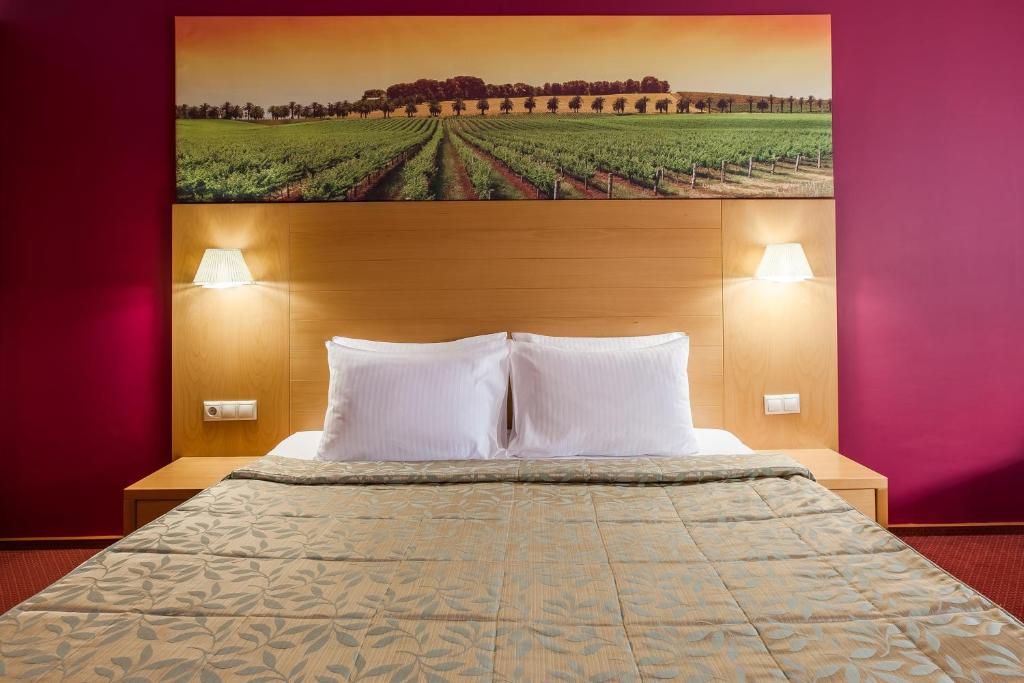 Eurasia Business Hotel Tyumen - Habitación Doble Estándar