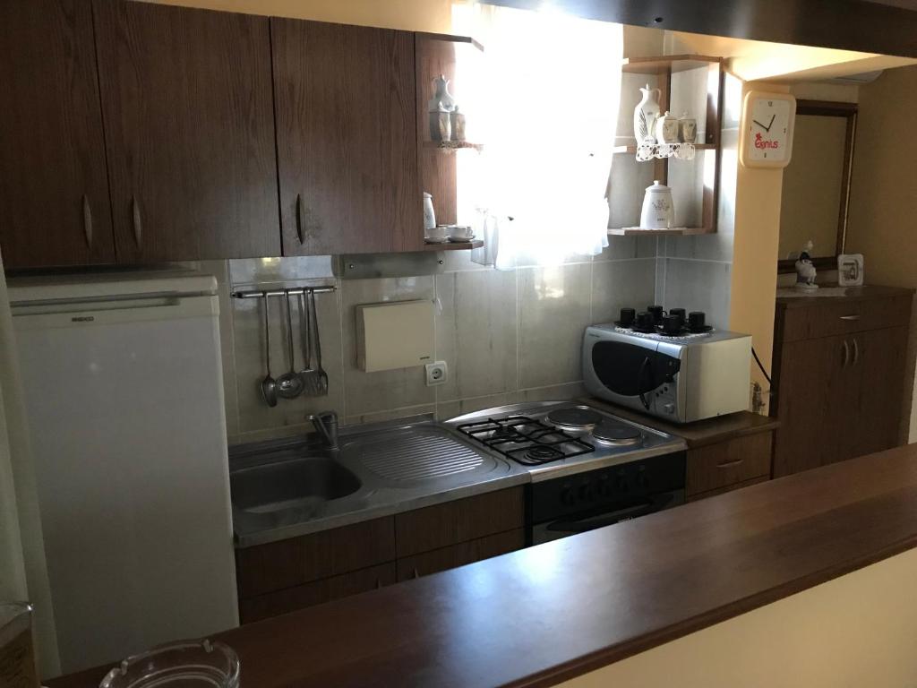 Kuchyň nebo kuchyňský kout v ubytování Apartmani Stojanovic