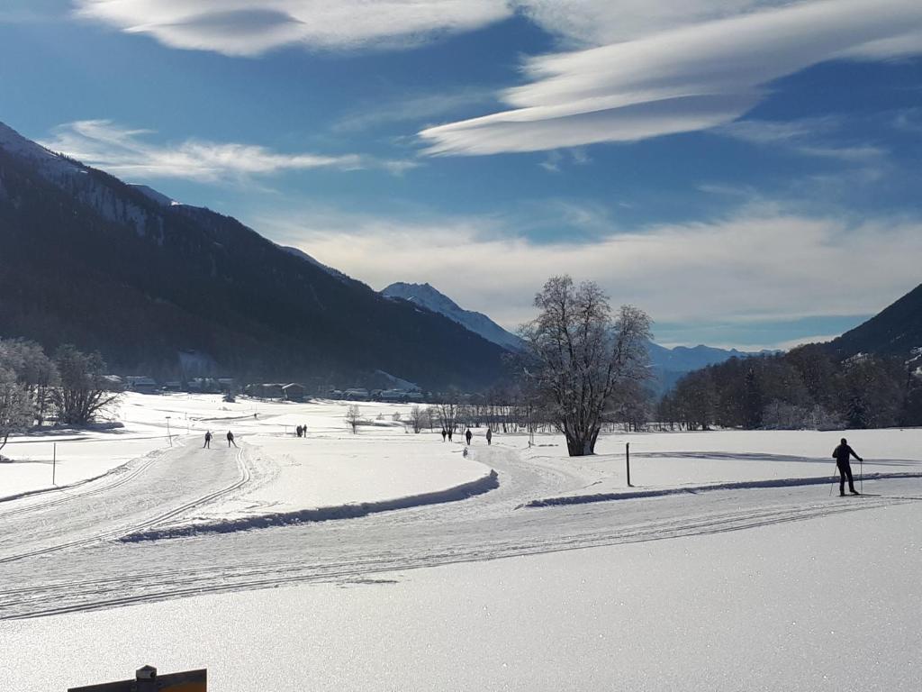Alpensonne v zimě