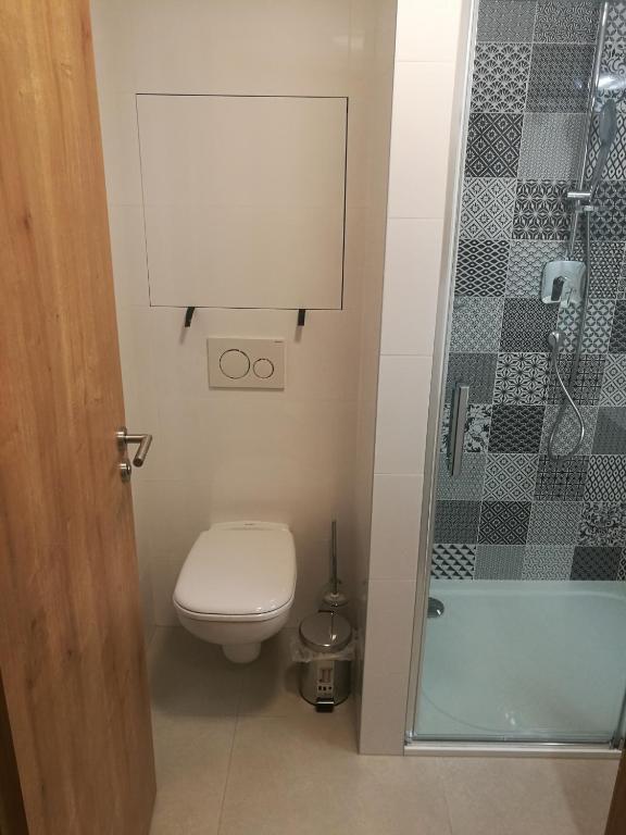 Łazienka w obiekcie Apartmány Sport Dolní Morava
