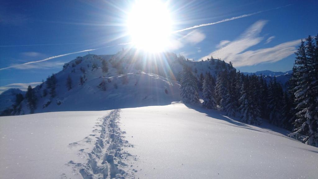 Appartementhaus Unterkofler during the winter