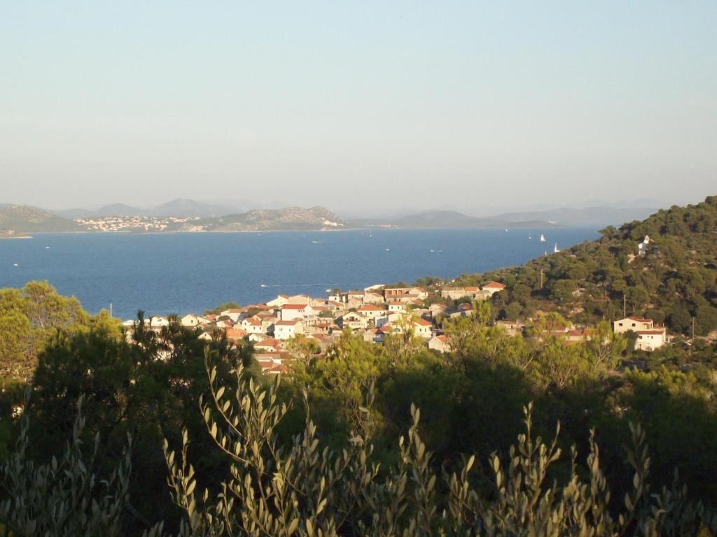House on the island of Pasman