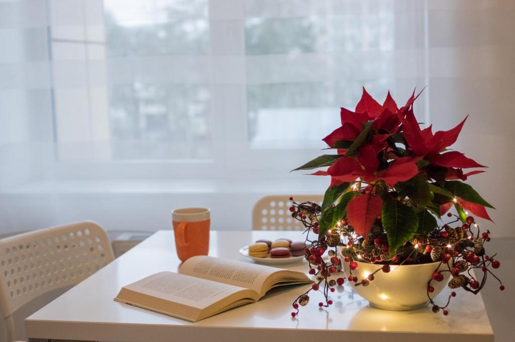 a table with a book and a plant on it at Spa Druskininkai Apartment in Druskininkai